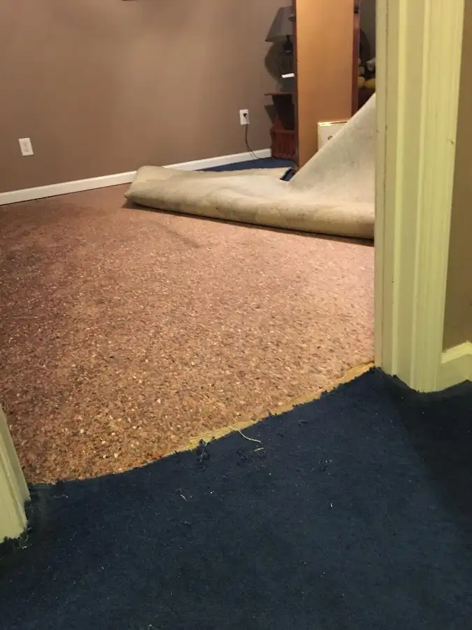 Carpet pad removal revealing water damage during Drying & Dehumidification in Murfreesboro