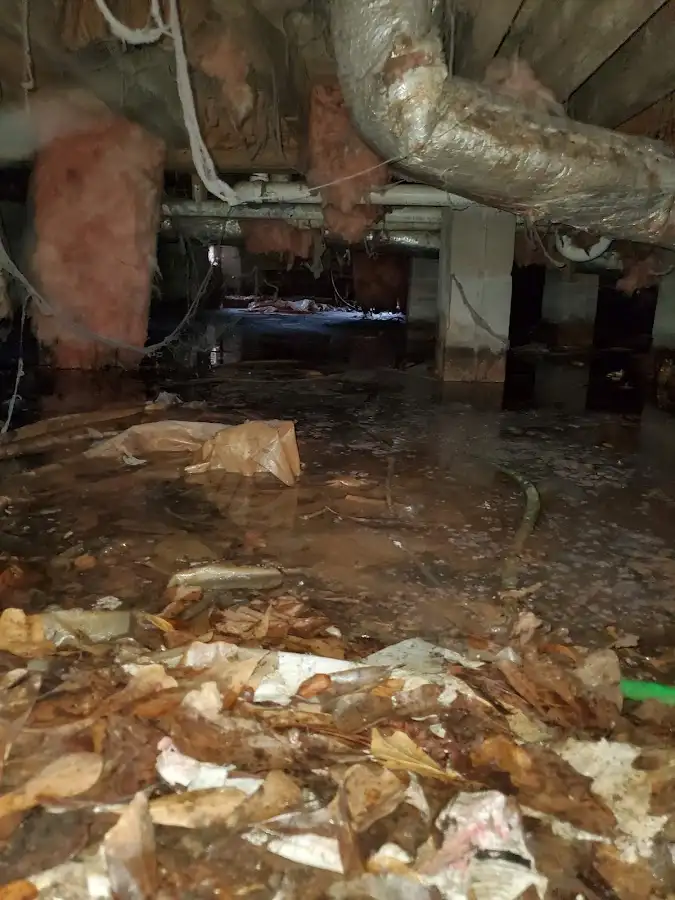 Crawl space flood assessment for Leak Detection & Repair in Murfreesboro